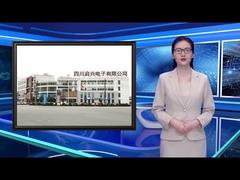 RFマイクロ波抵抗器 RIG